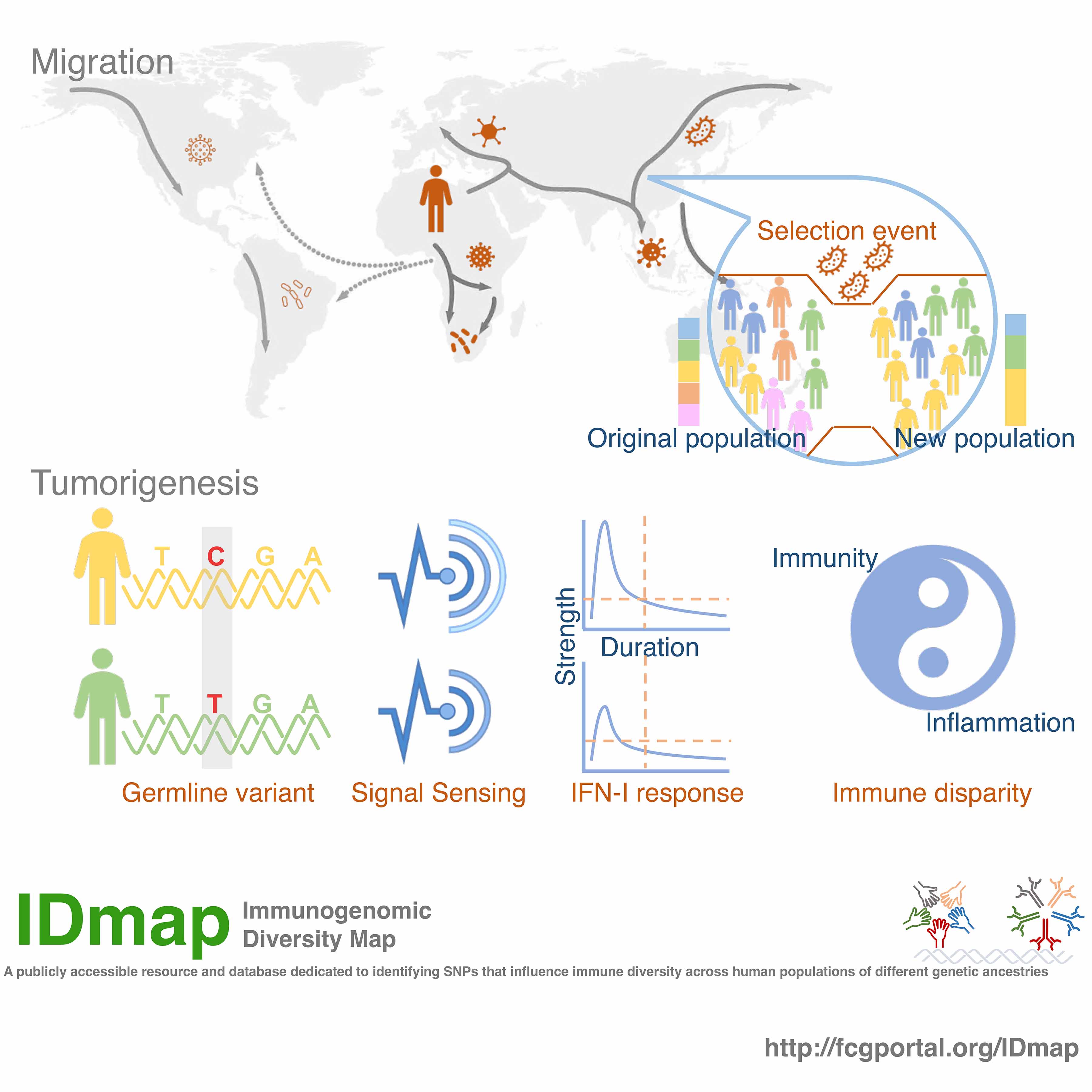 Description of image